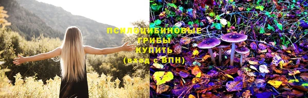 молекула духа Баксан